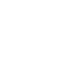 Airport Transfers & Ground Transport